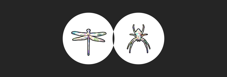 Illustration ΑΛΓ: libellule & araignée nacrées